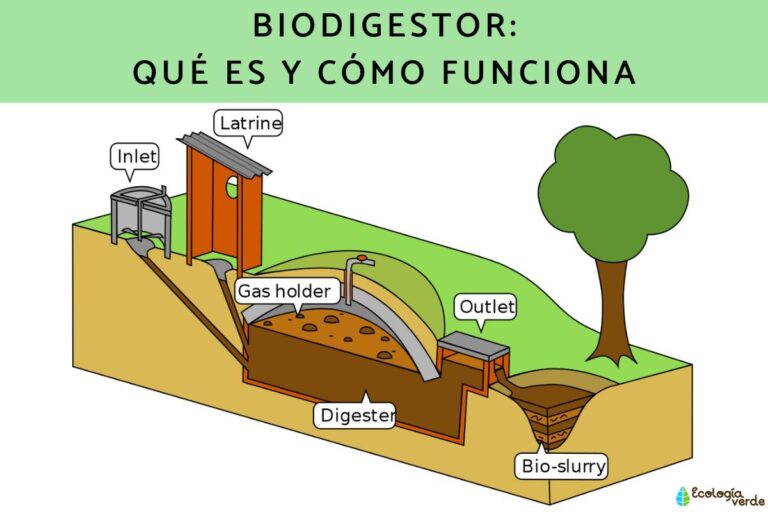 Cómo se genera la energía a partir de un biodigestor 7 Cómo se genera la energía a partir de un biodigestor