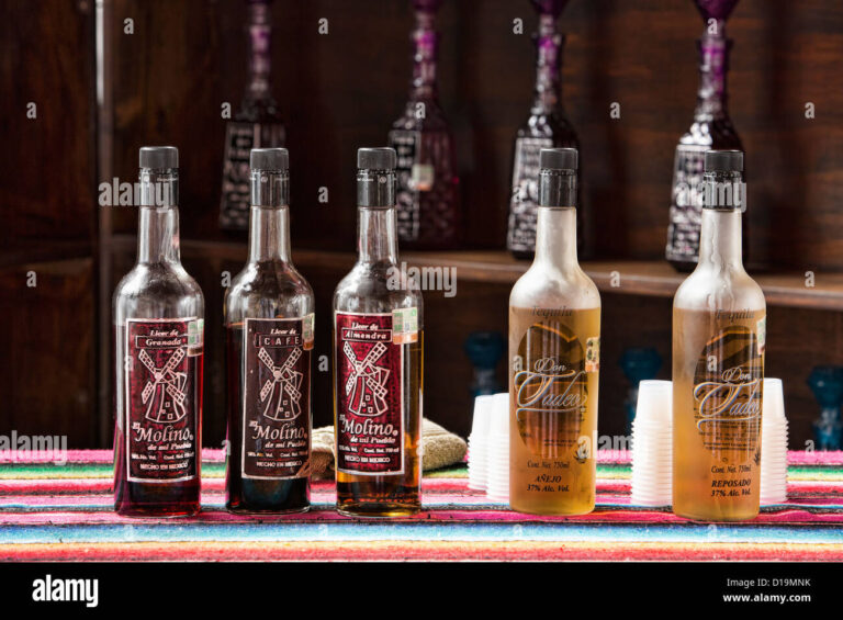 Qué actividades incluye el tour de tequila Herradura