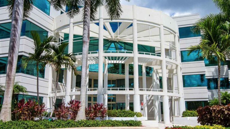 Qué servicios puedo gestionar en mi telmex com mx