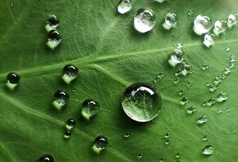 Qué Artículos de Divulgación Científica Abordan el Tema del Agua 8 Qué Artículos de Divulgación Científica Abordan el Tema del Agua