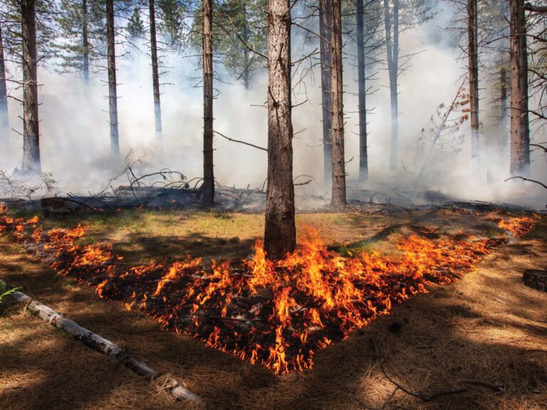 De qué trata "Salvar el fuego" de Guillermo Arriaga 8 De qué trata «Salvar el fuego» de Guillermo Arriaga