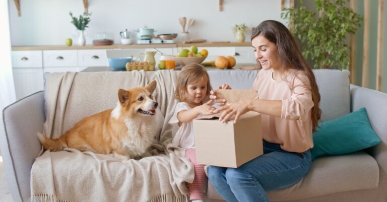 Qué servicios ofrece Cuidado con el Perro Gran Sur en México 8 Qué servicios ofrece Cuidado con el Perro Gran Sur en México